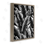 Walker Noble | Black Bold Fronds