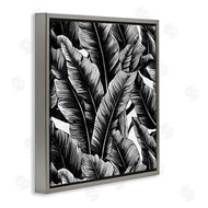 Walker Noble | Black Bold Fronds