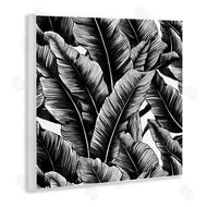Walker Noble | Black Bold Fronds