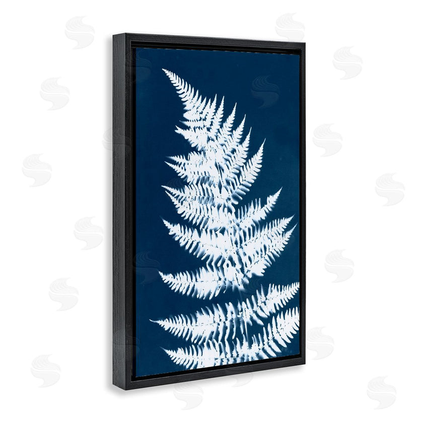 Jason Johnson | Blue and White Fern