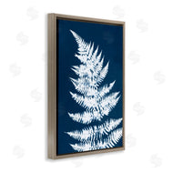 Jason Johnson | Blue and White Fern