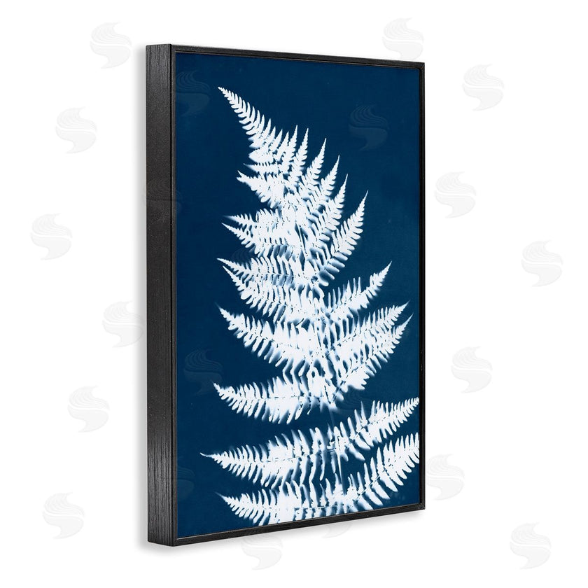 Jason Johnson | Blue and White Fern