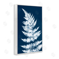 Jason Johnson | Blue and White Fern