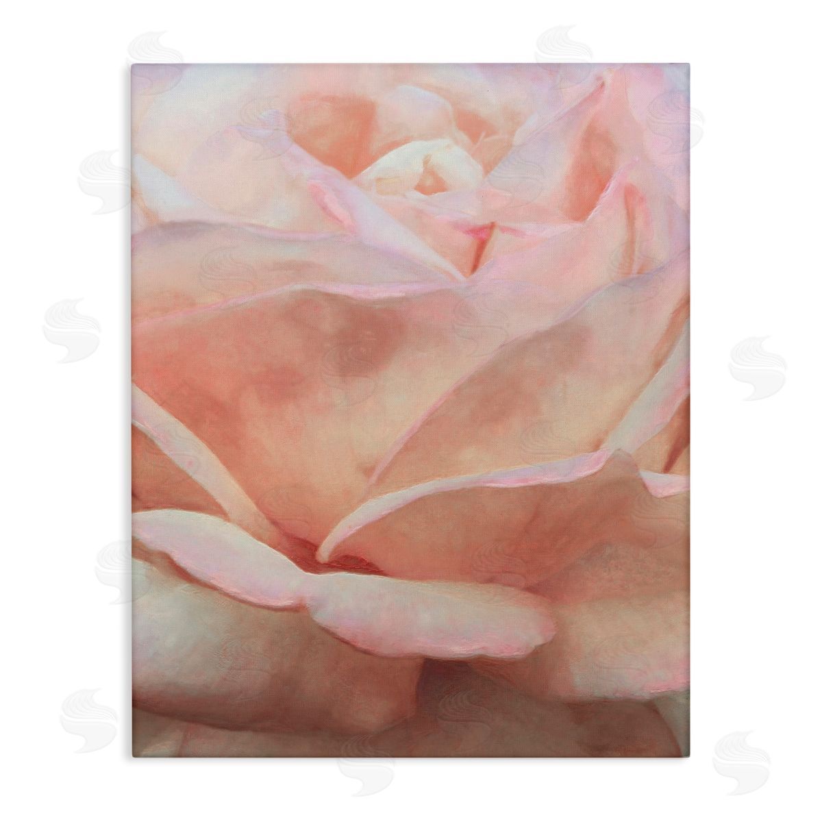 Soft Rose Petals Canvas Wall Art, Home Decor by Alonzo Saunders
