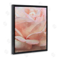 Alonzo Saunders | Soft Rose Petals
