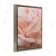 Alonzo Saunders | Soft Rose Petals