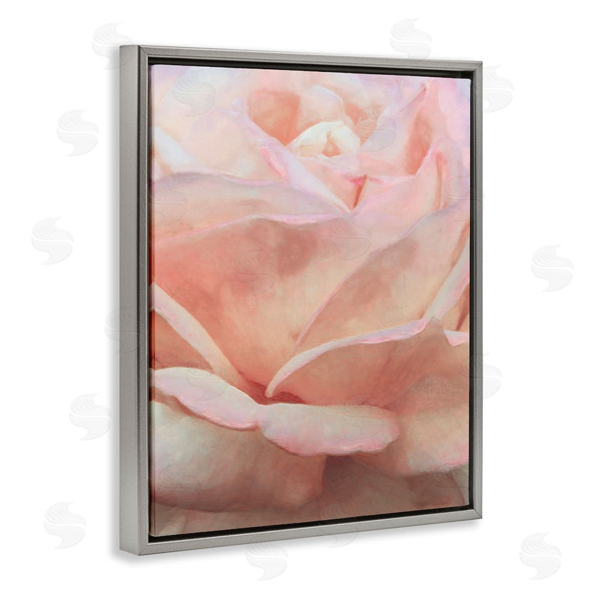 Alonzo Saunders | Soft Rose Petals