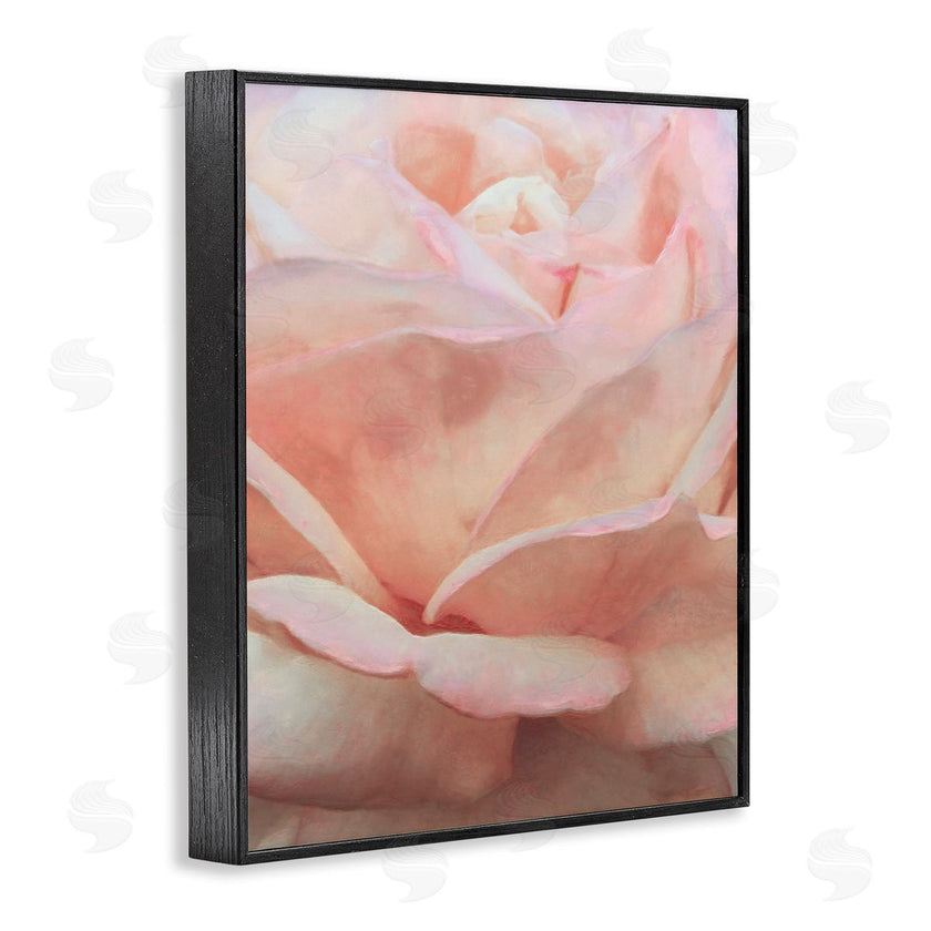 Alonzo Saunders | Soft Rose Petals