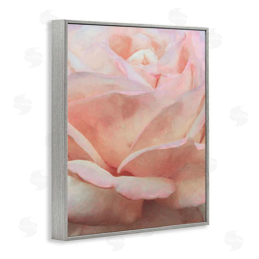 Alonzo Saunders | Soft Rose Petals