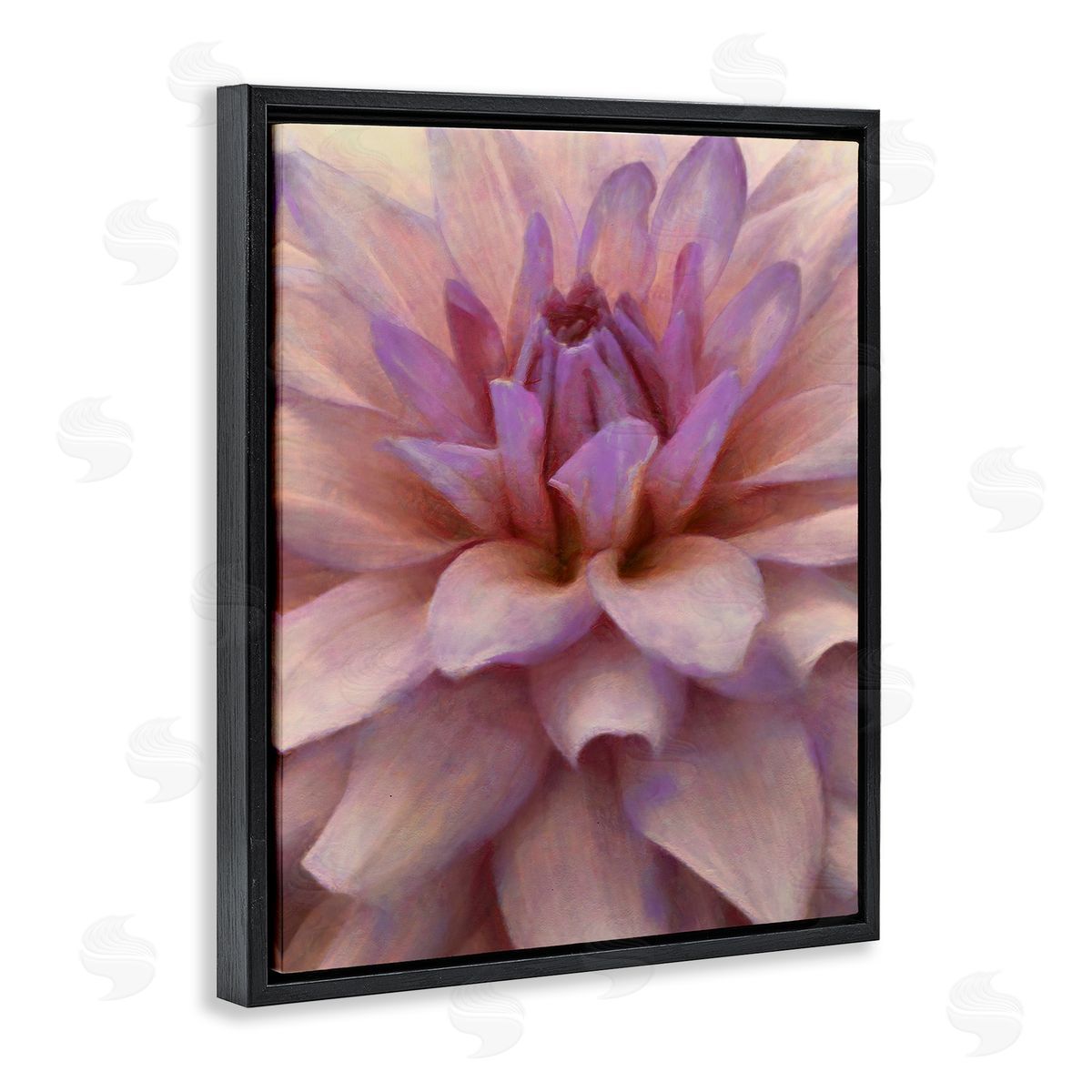 Purple Dahlia Petals Black Floating Frame Canvas Wall Art, Home Decor by Alonzo Saunders