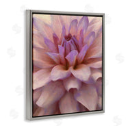 Alonzo Saunders | Purple Dahlia Petals