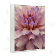 Alonzo Saunders | Purple Dahlia Petals