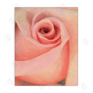 Alonzo Saunders | Spiral Rose Anther