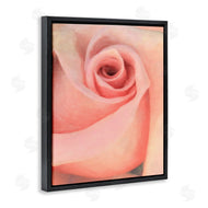 Alonzo Saunders | Spiral Rose Anther