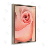 Alonzo Saunders | Spiral Rose Anther