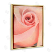 Alonzo Saunders | Spiral Rose Anther
