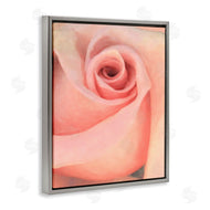 Alonzo Saunders | Spiral Rose Anther