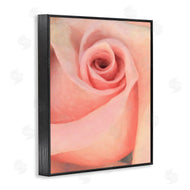 Alonzo Saunders | Spiral Rose Anther