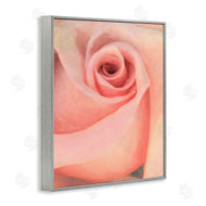 Alonzo Saunders | Spiral Rose Anther