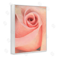 Alonzo Saunders | Spiral Rose Anther