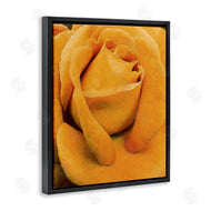 Alonzo Saunders | Yellow Rose Close Up