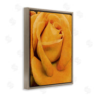 Alonzo Saunders | Yellow Rose Close Up