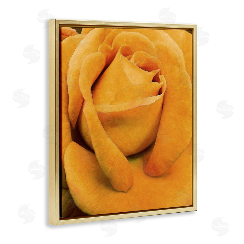 Alonzo Saunders | Yellow Rose Close Up