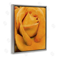 Alonzo Saunders | Yellow Rose Close Up