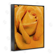 Alonzo Saunders | Yellow Rose Close Up