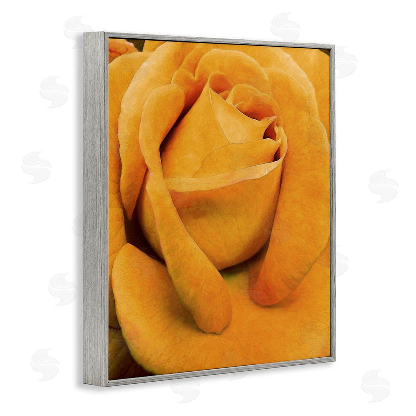 Alonzo Saunders | Yellow Rose Close Up