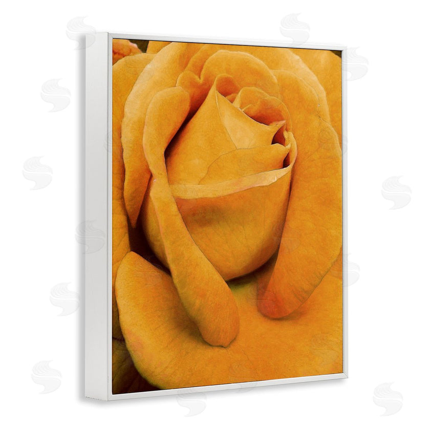 Alonzo Saunders | Yellow Rose Close Up