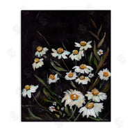 Amanda Hilburn | Daisies on Black