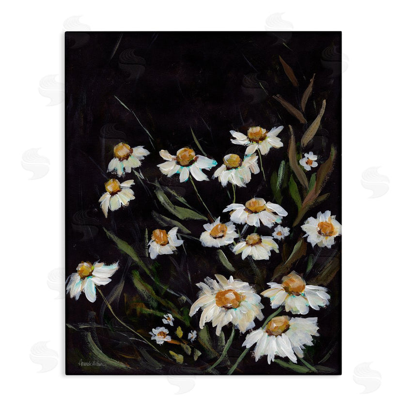 Amanda Hilburn | Daisies on Black