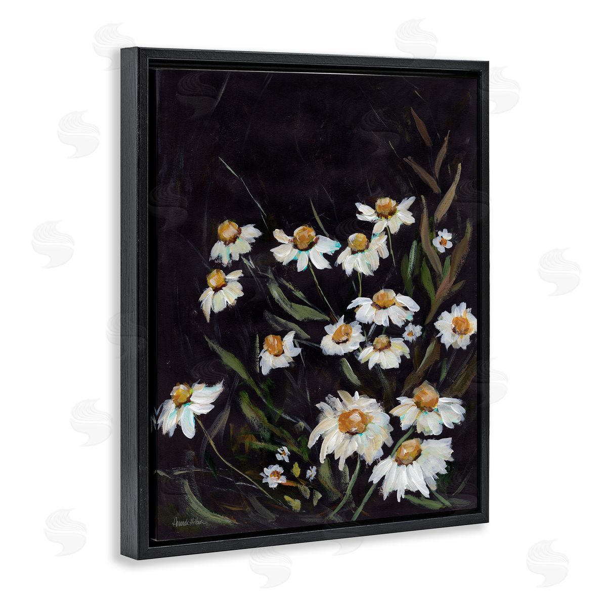 Daisies on Black Black Floating Frame Canvas Wall Art, Home Decor by Amanda Hilburn