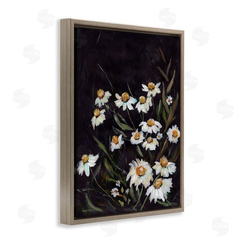 Amanda Hilburn | Daisies on Black