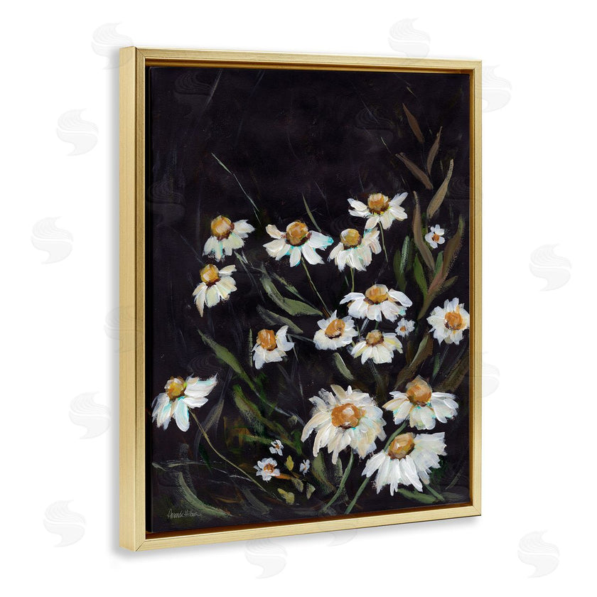 Amanda Hilburn | Daisies on Black