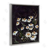 Amanda Hilburn | Daisies on Black