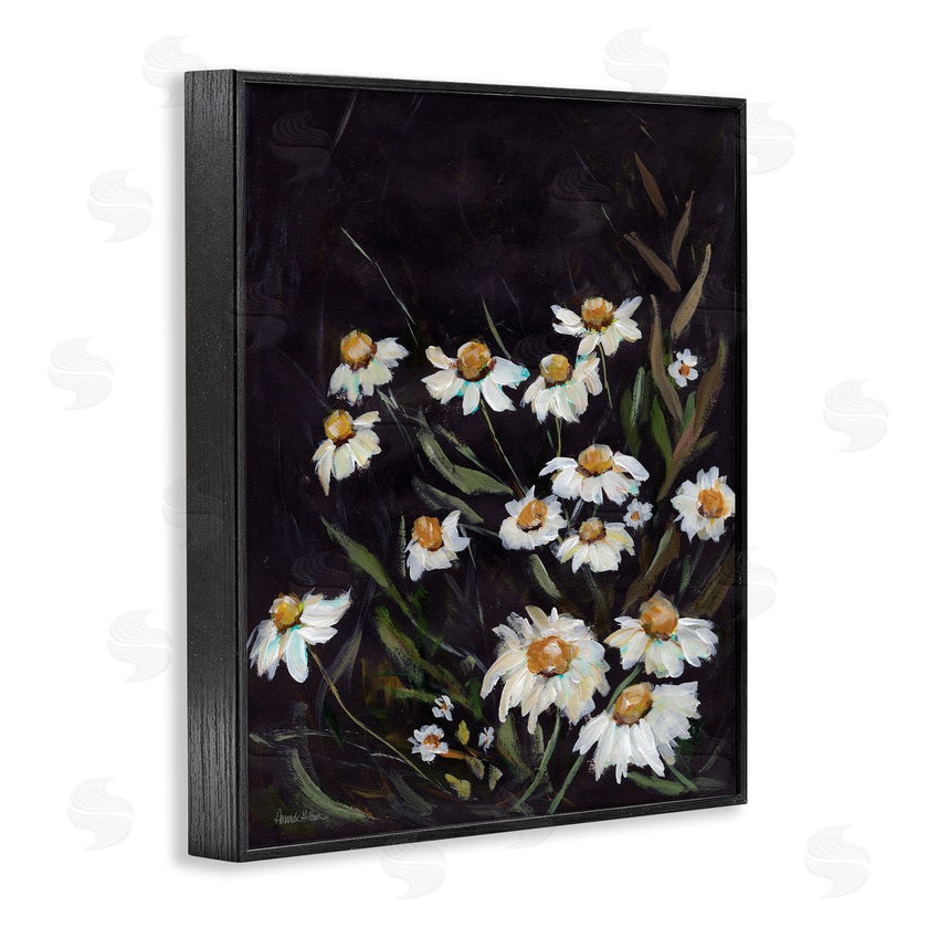 Amanda Hilburn | Daisies on Black
