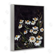 Amanda Hilburn | Daisies on Black