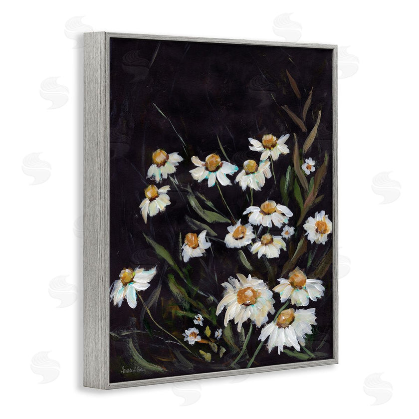 Amanda Hilburn | Daisies on Black