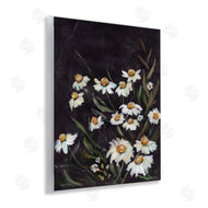 Amanda Hilburn | Daisies on Black