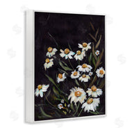 Amanda Hilburn | Daisies on Black