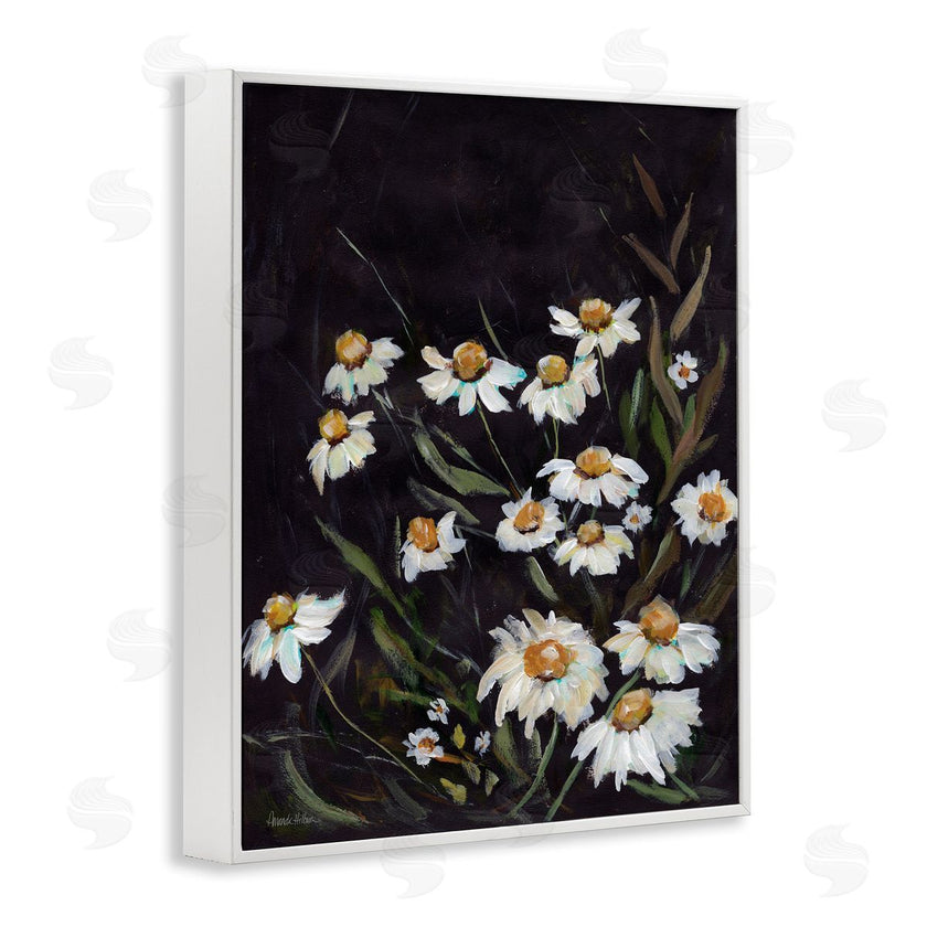 Amanda Hilburn | Daisies on Black