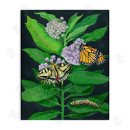 Ann Jasperson | Vintage Milkweed and Insects