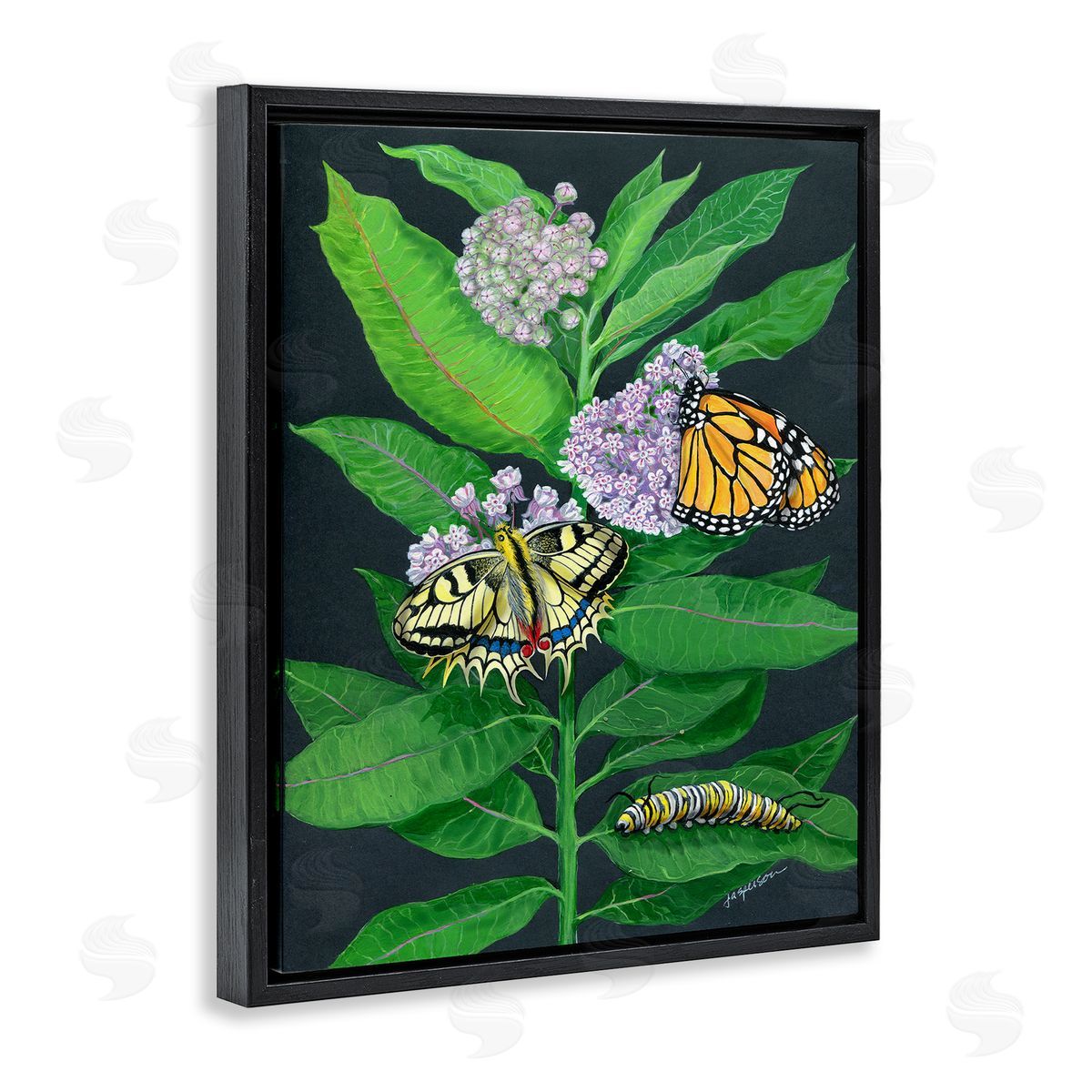 Vintage Milkweed and Insects Black Floating Frame Canvas Wall Art, Home Decor by Ann Jasperson
