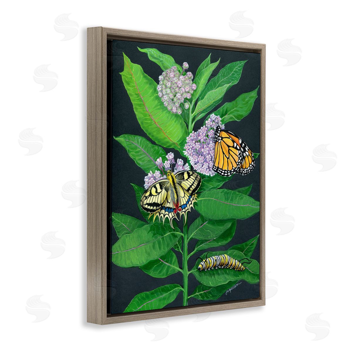 Vintage Milkweed and Insects Brown Floating Frame Canvas Wall Art, Home Decor by Ann Jasperson