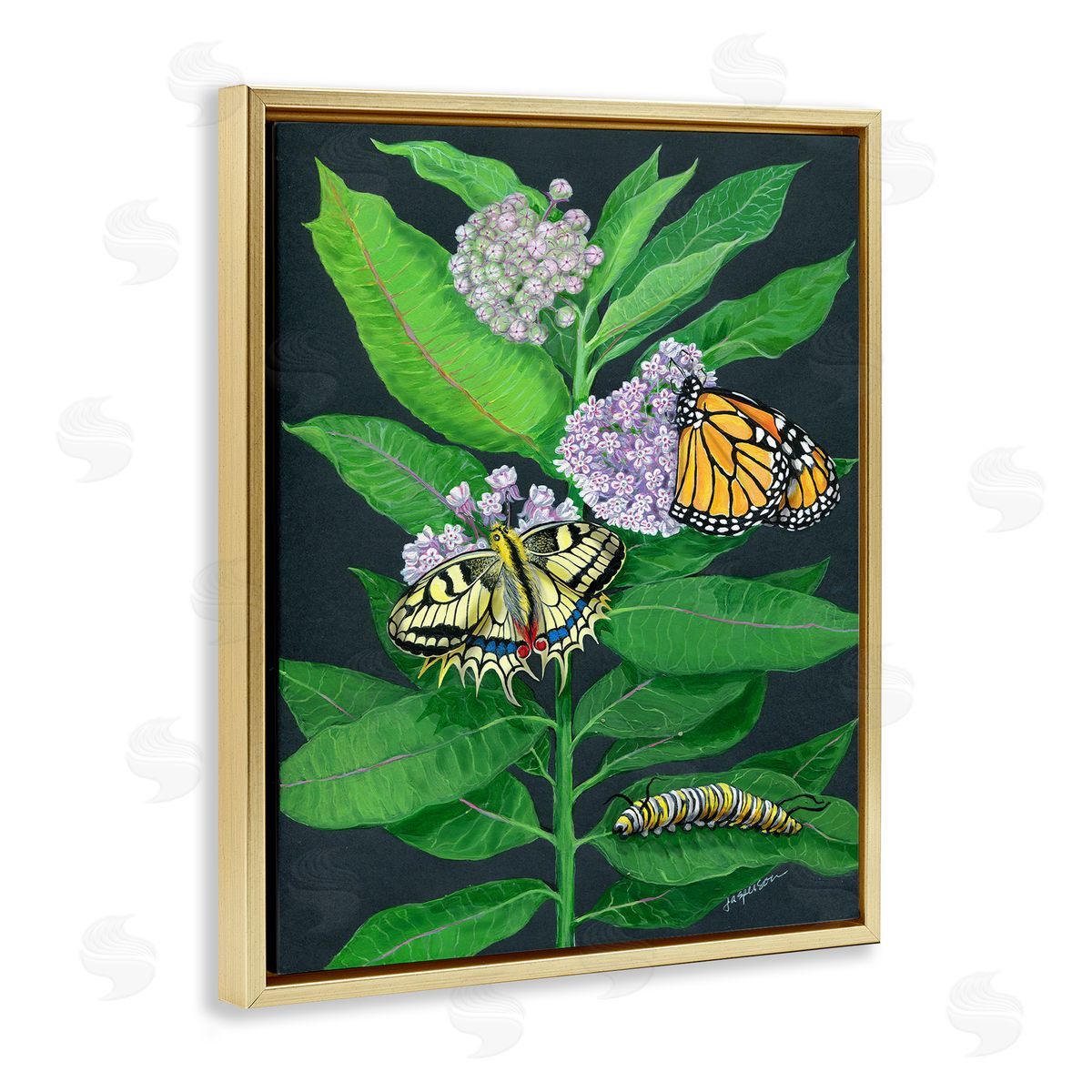 Vintage Milkweed and Insects Gold Floating Frame Canvas Wall Art, Home Decor by Ann Jasperson