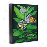 Ann Jasperson | Vintage Milkweed and Insects