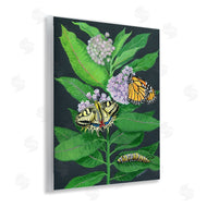 Ann Jasperson | Vintage Milkweed and Insects