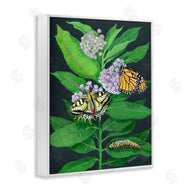 Ann Jasperson | Vintage Milkweed and Insects